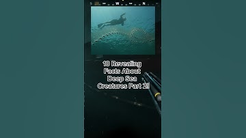 10 Revealing Facts About Deep Sea Creatures Part 2!