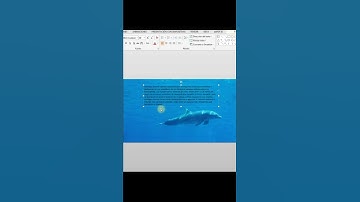 Cómo Poner Video de Fondo en PowerPoint #ppt #shorts #powerpoint #tutorial #presentaciones