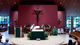 Thirteenth Sumday in Ordinary Time: 6/28/26