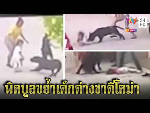 พิตบูลลากคอเด็กต่างชาติ พี่เลี้ยงปล่อยยืนจ้องหมา ดันซวยเจ้าของเปิดตูทิ้งขยะ | ทุบโต๊ะข่าว | 21/06/65