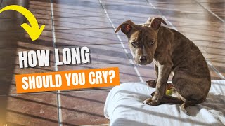 🐶🕢 ¿How Long Should I Let a Puppy Cry at Night?