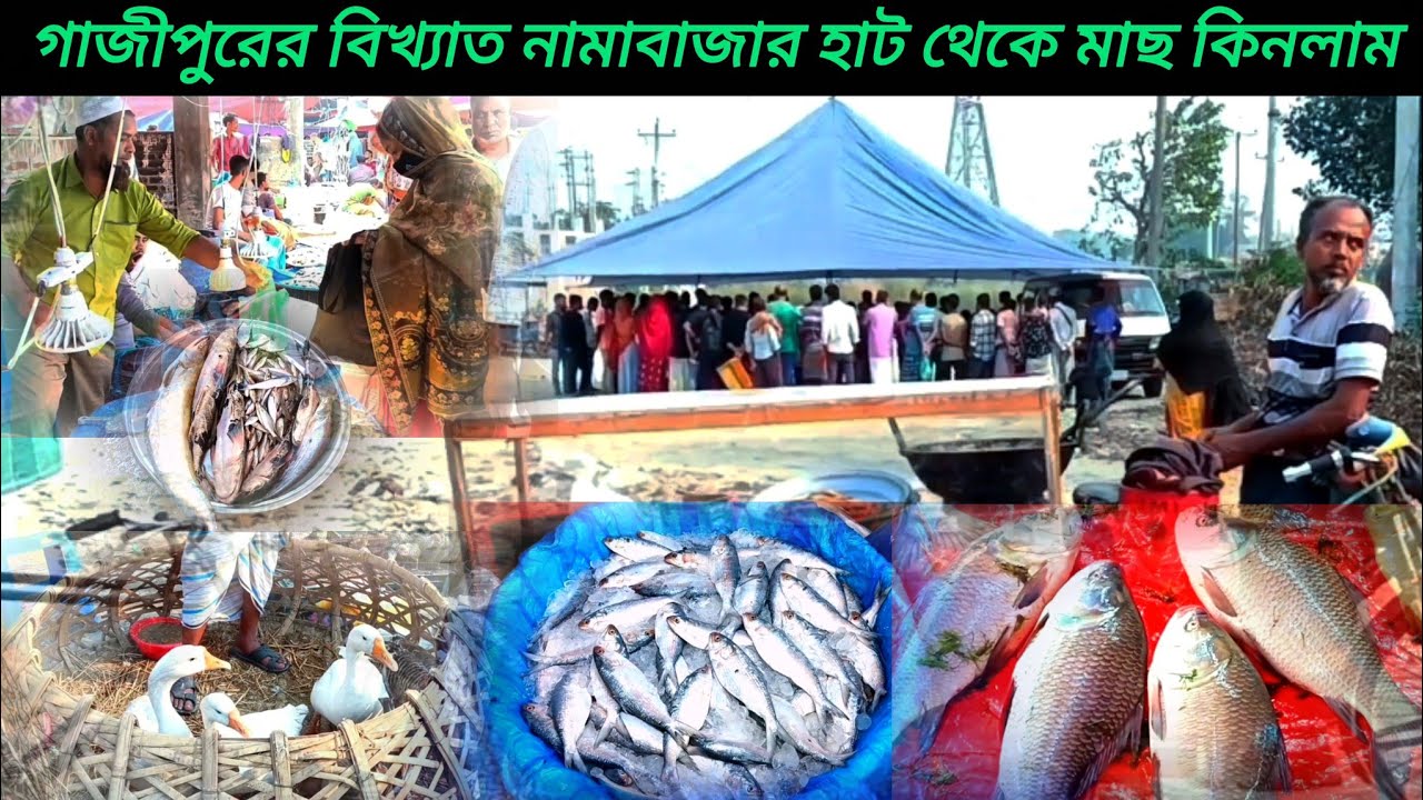 গাজীপুরের বিখ্যাত নামাবাজার হাট থেকে মাছ কিনার ভিডিও | fish buying from famous  namabazar hat | 