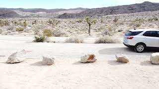 California road trip - California City to Ridgecrest