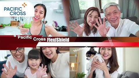 Pacific Cross FlexiShield: An Overview