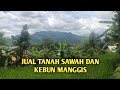 jual tanah kebun dan sawah view pegunungan sangat cocok dibikin rumah dan villa buat investasi