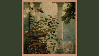 The Simple Solution - Million Eyes