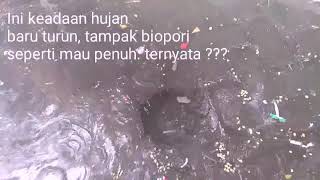Masih Tentang Biopori