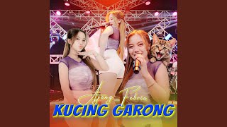 Kucing Garong