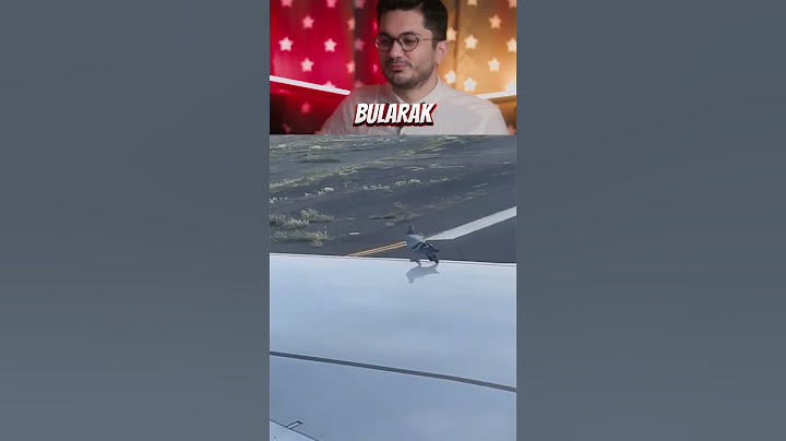 Uçağın kanadında kaçak uçan kuş