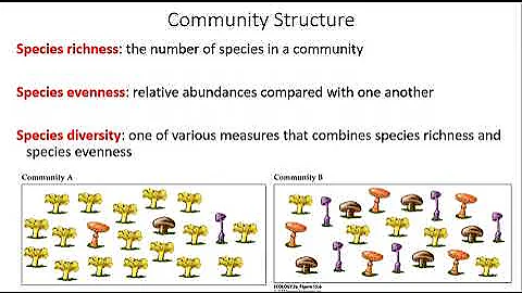 Community structure and diversity