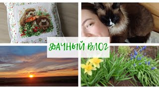 Дачный влог 🌿 Привела теплицу в порядок 🌿 Сшила наволочку. Будни Альфи