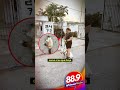 PONE PERRO A ATACAR A GATOS