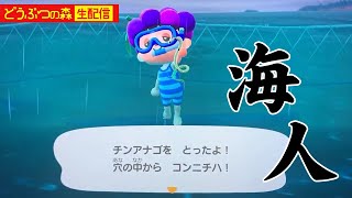 【直撮り実況】改めて海開き！！