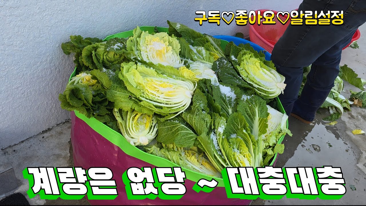 (12월)차여사의 김장 레시피 ~ 계량은 없당!! 대충대충