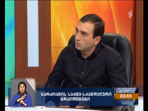 მიხეილ ხარძიანი: ის ვიდეო საჯარო რომ გახდეს, ალბათ, ტყვიას დავიხლი შუბლში