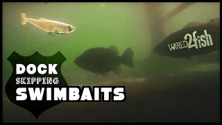Skipping Swimbaits for Dock Bass | Zaldain’s 5 Tips for Success
