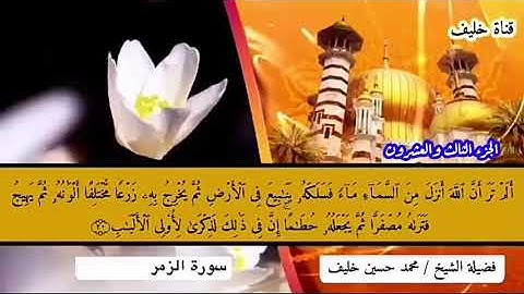 تلاوة لسورة الزمر من المصحف المرتل بصوت الشيخ / محمد حسين خليف