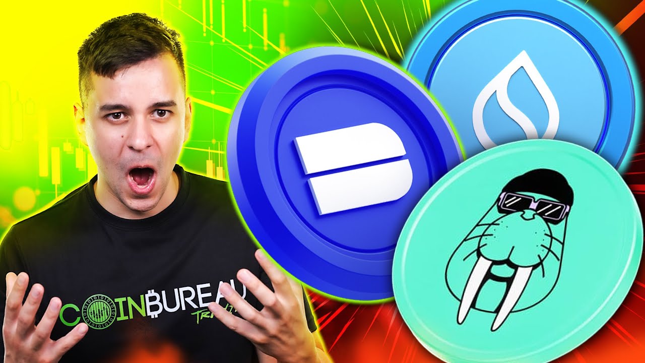 Sui, DeepBook, Walrus, MASSIVE Rally!! How HIGH Will They Go!?