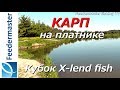 Ловля карпа летом на платном водоеме. Рыболовные соревнования Кубок X-lend fish