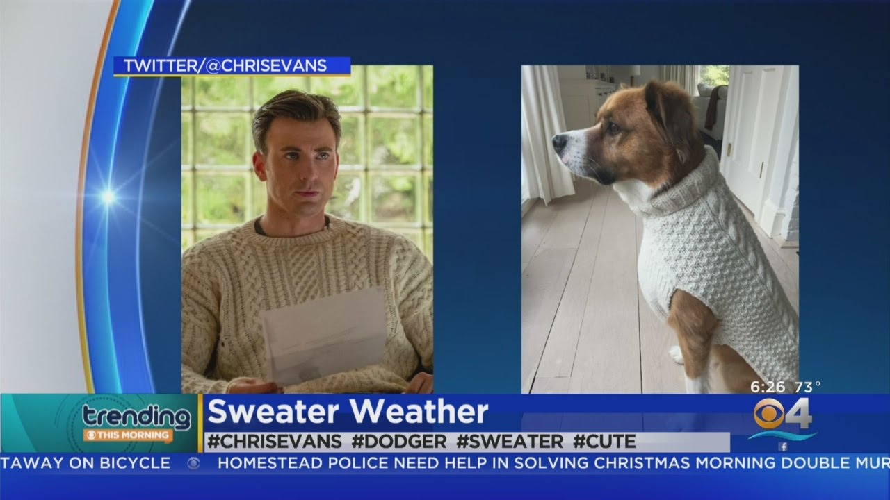 dodger dog sweater