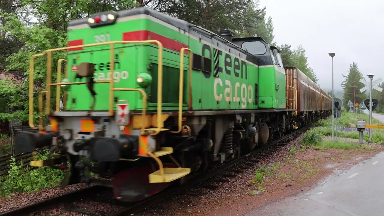 Tåg över kombibron vid Oxberg