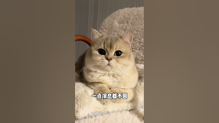 #谁能拒绝傻憨憨的小猫咪 #萌宠出道计划 #快看啊这是我的猫 #记录猫咪日常 #小猫咪怼脸杀视频