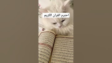 #احترم القران الكريم