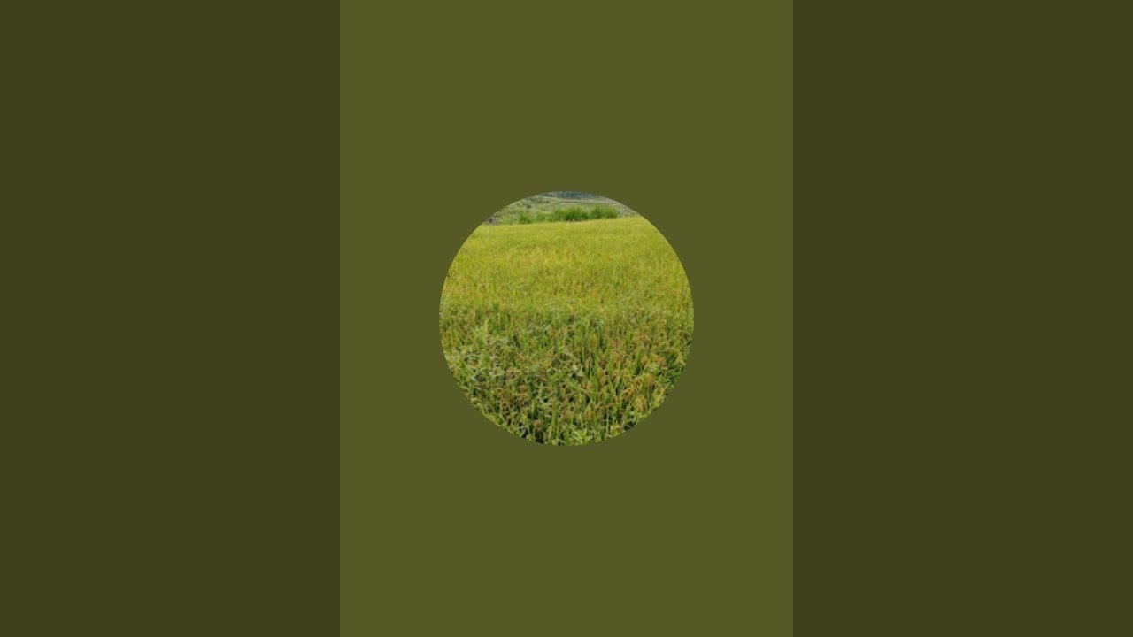 Tombo Ati sedang live sekarang! Cuaca kabut tebal