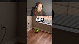 why katieb roast her like that 😭