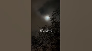 القارئ : عبد الرحمن مسعد ﴿ الَّذِينَ صَبَرُوا وَعَلَىٰ رَبِّهِمْ يَتَوَكَّلُونَ﴾[ العنكبوت: 59]