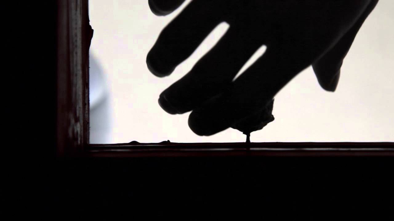 It Has Already Ended Meaning It Has Already Ended Meaning