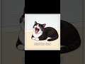 Tired or possessed by a demon? #meme #funnycat #cat #yawn #tired