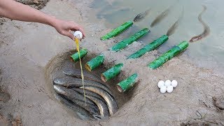 Unique Fish Trapping System Using Bamboo - Catch Fishing Using Duck Eggs