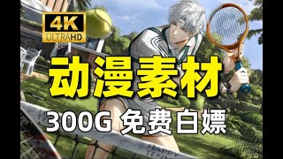 【动漫素材】全新300G超高清剪辑必备素材 无水印动漫漫剪素材它来啦！动漫混剪的小伙伴快来进货啦！白嫖党福音！！！剪辑新手小白必备！PR下载_AE转场插件剪映