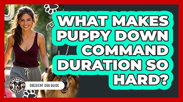 What Makes Puppy Down Command Duration So Hard? - Obedient Dog Guide