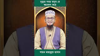 মৃত্যুর সময় মানুষ যে আবেদন করে islaminbangla islamicshorts motivation