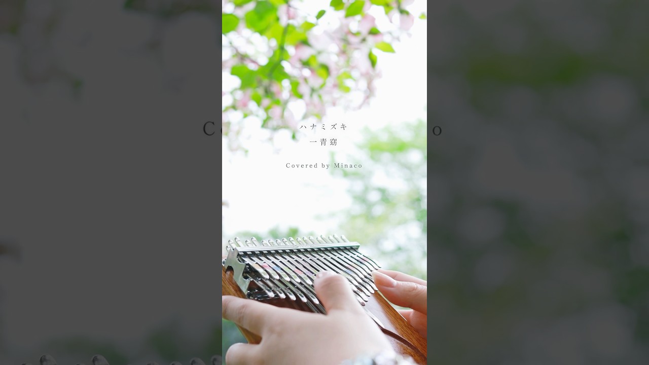 Watch ハナミズキ / 一青窈 🌸 カリンバ弾き語り Kalimba Cover on YouTube Watch ハナミズキ / 一青窈 🌸 カリンバ弾き語り Kalimba Cover on YouTube
