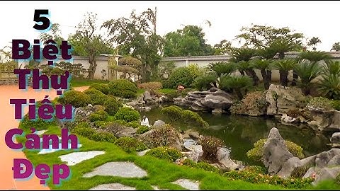 5 Biệt Thự Tiểu Cảnh Bể Koi Non Bộ Không Gian Xanh Tuyệt Đẹp