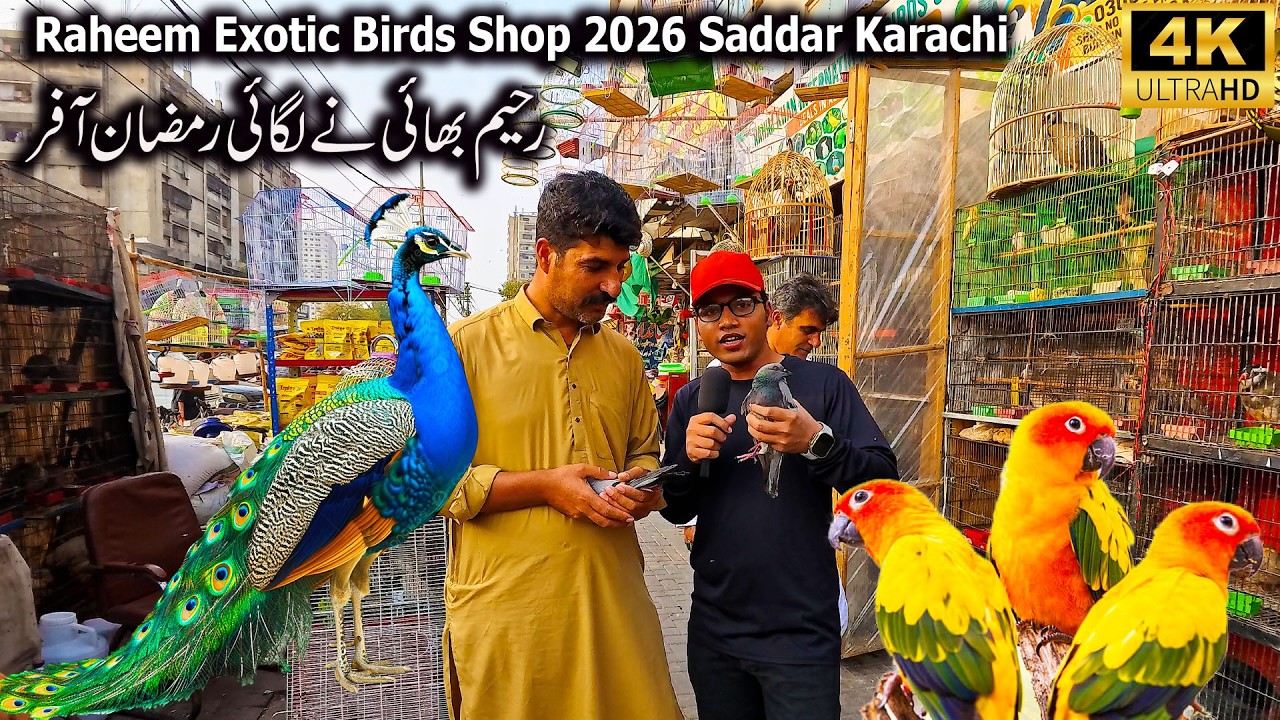 Raheem Exotic Birds Shop 2026 Saddar Karachi | Raheem Bhai ney lagai Ramzan discount Offer