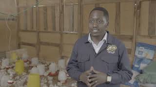 Scaling Broiler Farming In Kenya Martin Mwendas Story De Heus Kenya