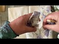 Middle of video