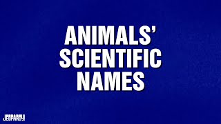 Animals Scientific Names  Category  Jeopardy