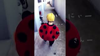 ノリノリでスタートした矢先