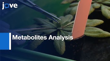 Metabolites, Lipids, and Proteins  Analysis from a Single Sample | Protocol Preview
