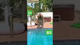 210 Days How I Build Million Dollars Tunnel Water Slide Park into Swimming Pool House Underground