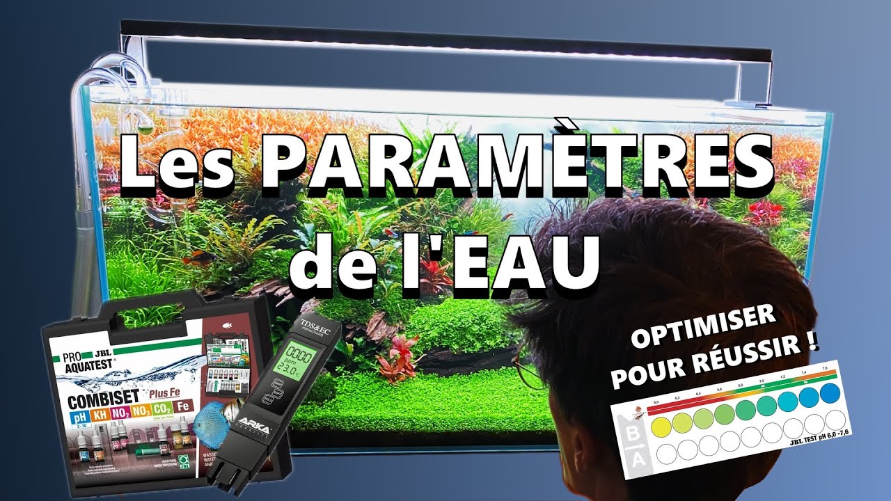 3) Le Guide COMPLET des PARAMÈTRES DE L'EAU pour Aquariums (Débutants à Experts)