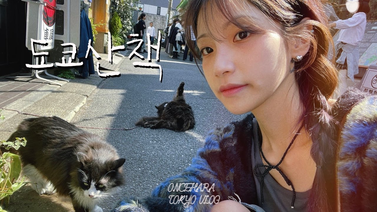 도쿄사는일상ㅣ어제는 폭설 오늘은 더운 이상한 도쿄 날씨ㅣ여기도 고먐미 저기도 고먐미인 야네센 산책