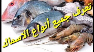 تعرف على جميع أنواع الأسماك بالدارجة المغربية 🐳🐋🦀🐬🐟🐠🐡🦈🦑🦐🐙