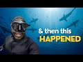 I FINALLY DID THE  SHARK  CAGE DIVING IN CAPETOWN | WESTERN CAPE