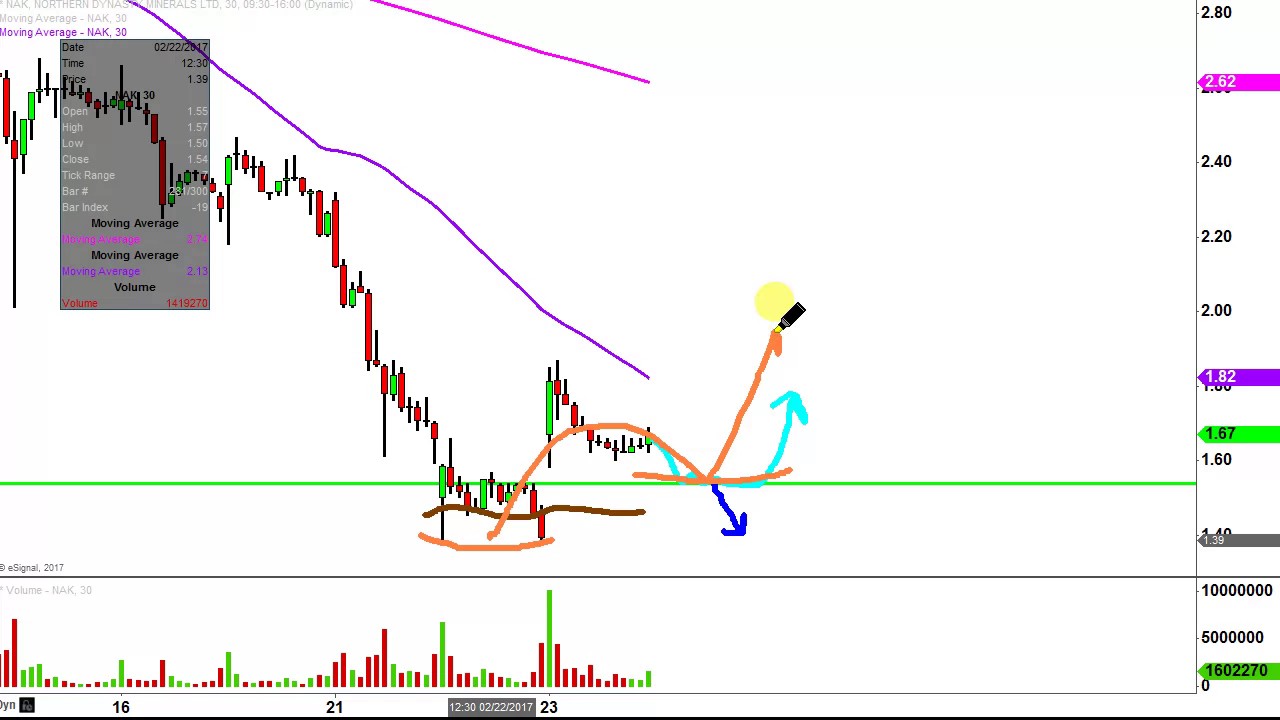 northern dynasty minerals ltd nak stock chart technical northern dynasty stock chart